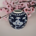 Chinesische blau-weiße Ingwer-Vase aus Porzellan mit Pflaumenblütendekor – 1960er Jahre