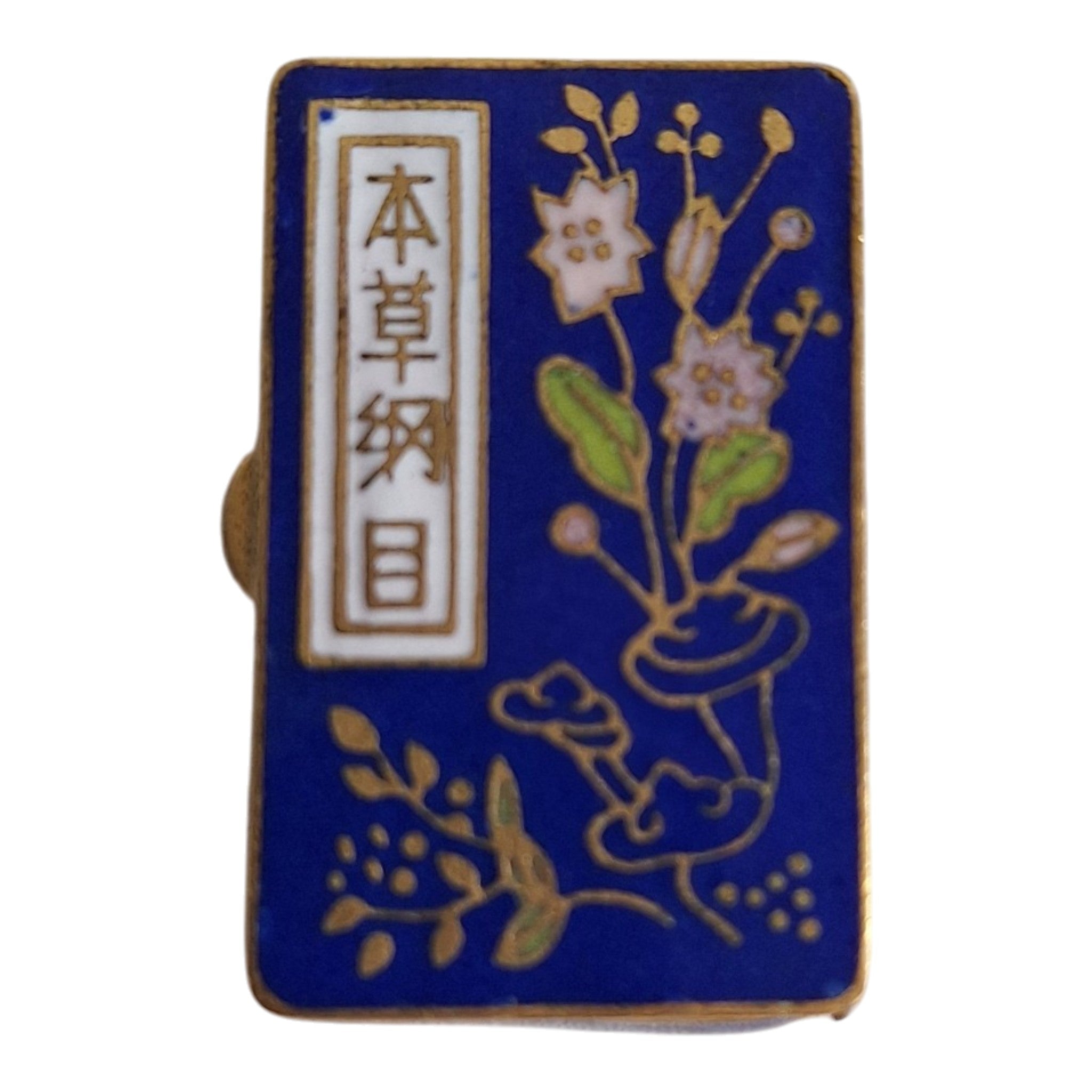 Rechteckige Cloisonné-Schachtel mit Flora und Fischen