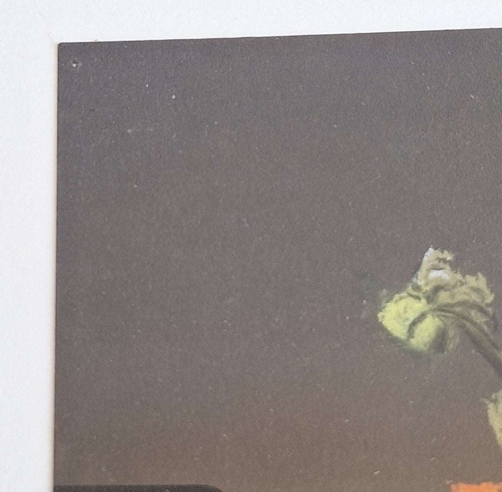 Bloemenstilleven op Krijt - Gesigneerd A. Bouman Ingelijst met Glas